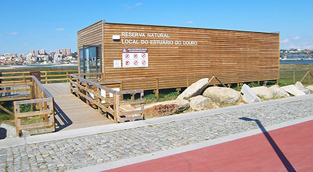 Limpeza costeira no Estuário do Douro