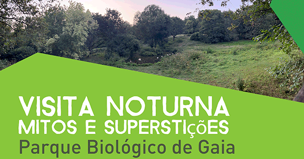 Visita Noturna – Mitos e Superstições | ESGOTADO