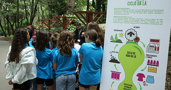 Dia Mundial do Ambiente levou crianças ao Parque da Lavandeira