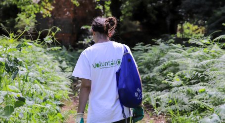 Projeto Biovoluntários 2.0