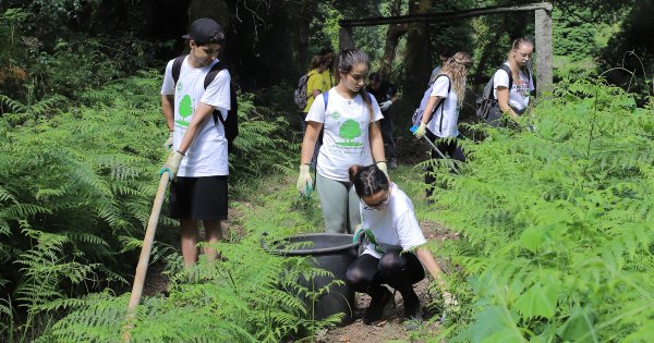 Projeto Biovoluntários 2.0