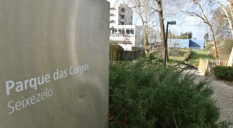 Parque das Corgas terá equipamento infantil novo