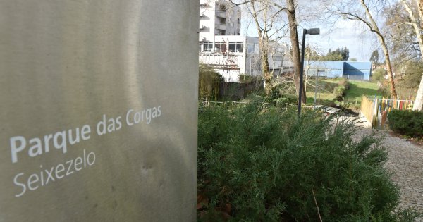 Parque das Corgas terá equipamento infantil novo