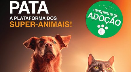 Campanha em que os animais de companhia são os super-heróis