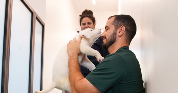 Campanha de adoção deu um novo lar a quatro animais