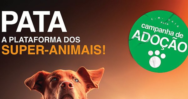 Campanha em que os animais de companhia são os super-heróis